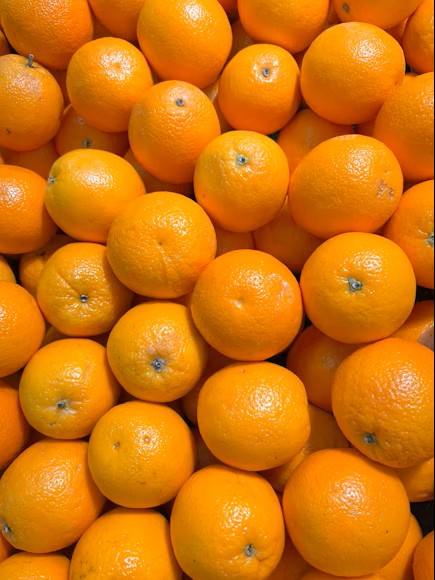 oranges